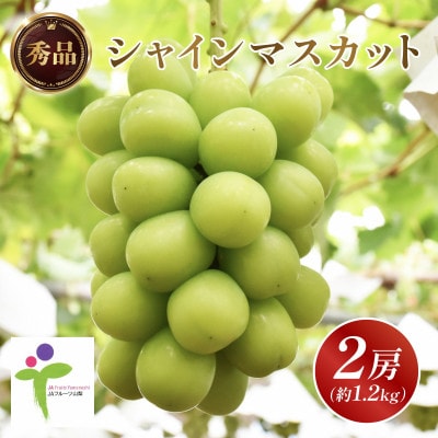 【発送月固定定期便】JAフルーツ山梨定期便 全3回【配送不可地域：離島・沖縄県】