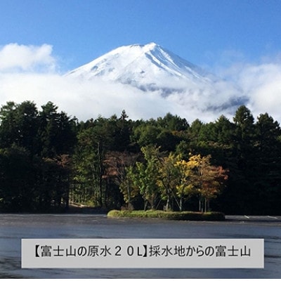【毎月定期便】バナジウム天然水　富士山の原水20L 全6回