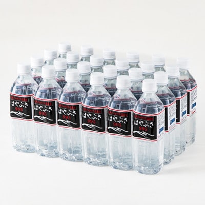 【毎月定期便】りょう泉はやぶさ　995〈500ml×24本〉全12回