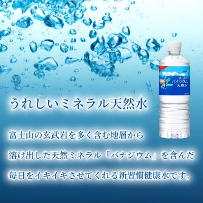 【毎月定期便】バナジウム天然水600ml【24本入】アサヒ飲料全6回　防災