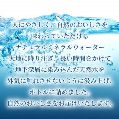 【毎月定期便】「おいしい水」 天然水 600ml【24本入】アサヒ飲料全3回　防災