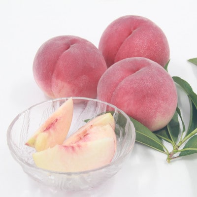 【発送月固定定期便】フルーツ定期便全2回【配送不可地域：離島・沖縄県】