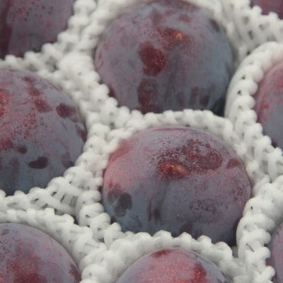 【発送月固定定期便】フルーツ定期便全4回【配送不可地域：離島】