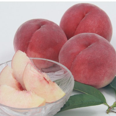 【発送月固定定期便】フルーツ定期便全5回【配送不可地域：離島】