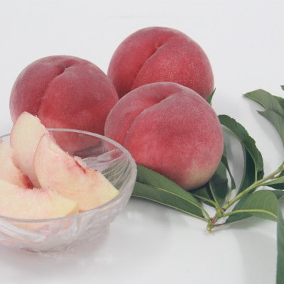 【発送月固定定期便】フルーツ定期便全6回【配送不可地域：離島】