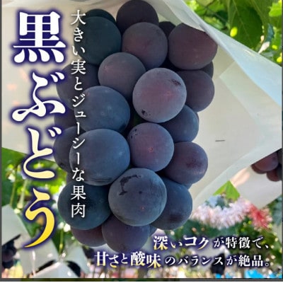【発送月固定定期便】桃2kg(5～8玉)　黒ぶどう1房　シャインマスカット2房1kg以上全3回【配送不可地域：離島・沖縄県】