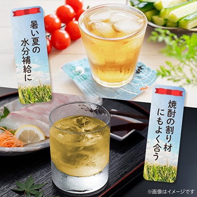 【毎月定期便】とうもろこしのおいしいひげ茶 500ml 24本 計12L サーフビバレッジ全6回