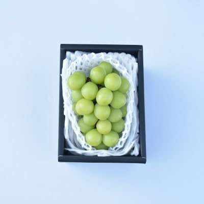 【発送月固定定期便】山梨市産　季節のフルーツ定期便全3回【配送不可地域：離島・沖縄県】