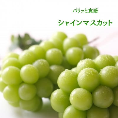 【発送月固定定期便】【2026年先行受付】旬のフルーツ定期便　桃2kg・シャインマスカット全2回【配送不可地域：離島】