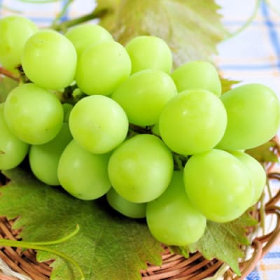 【発送月固定定期便】やまなし旬のフルーツ定期便(桃・シャインマスカット)【S】全2回【配送不可地域：離島】