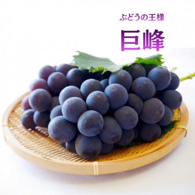 【発送月固定定期便】【2026年先行受付】フルーツ定期便 桃2kg 巨峰1kg シャイン1kg全3回【配送不可地域：離島】