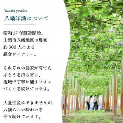 【毎月定期便】山梨 八幡洋酒 白ワイン 赤ワイン 飲み比べ 定期便 ぶどう農家全3回