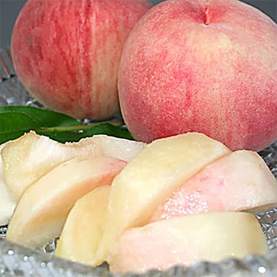 旬を先取り!甘く可憐な「花嫁(はなよめ)」「ちよひめ」約1kg 6月中旬発送【配送不可地域：離島・沖縄県】