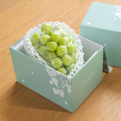 【2026年発送】特選大房シャインマスカット1房(約700～800g) ふるさと納税【配送不可地域：離島・沖縄県】