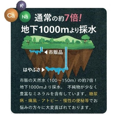 りょう泉はやぶさ　995〈500ml×24本〉