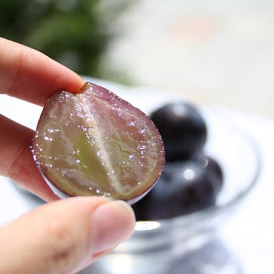 【2026年発送分先行受付】山梨産ブラックビート 2房(約1kg) 化粧箱入り レアな希少品種【配送不可地域：離島・沖縄県】