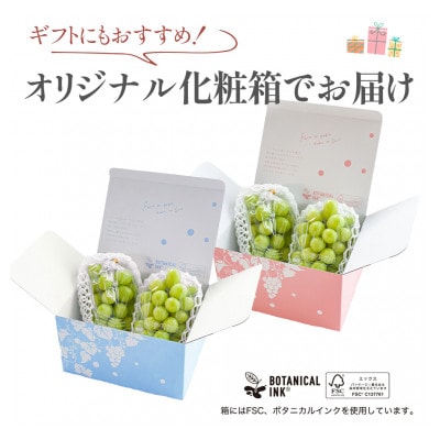 【数量限定】6月下旬～7月中旬発送ハウス栽培の『シャインマスカット』 2房　約1kg【配送不可地域：離島・沖縄県】