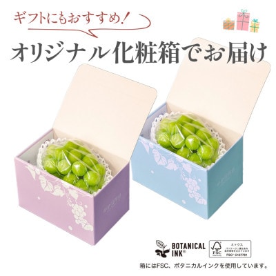 【数量限定 】6月下旬～7月中旬発送。ハウス栽培の『シャインマスカット』 1房【配送不可地域：離島・沖縄県】