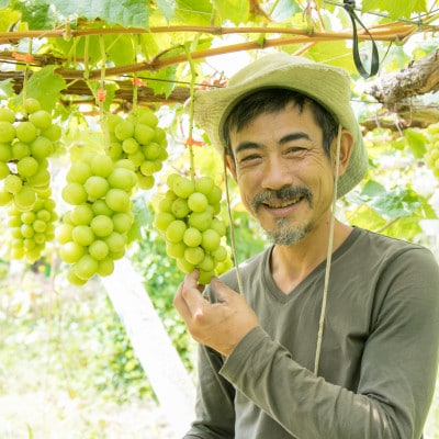 2026年先行販売　銀河農園まきおかのシャインマスカット(種なし)約1.5kg(2～3房)【配送不可地域：離島】