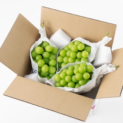 【2026年先行受付】山梨市産「シャインマスカット(種なし)」 約1.65kg (約550g×3房)【配送不可地域：離島・沖縄県】