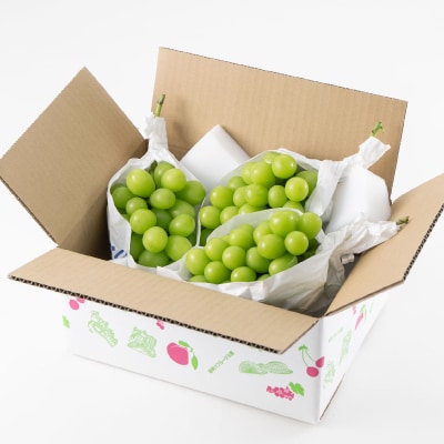 【2026年先行受付】山梨市産「シャインマスカット(種なし)」 約1.5kg (約500g×3房)【配送不可地域：離島・沖縄県】
