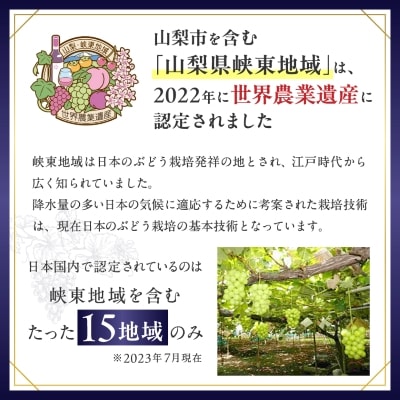 【先行受付】シャインマスカット 2kg (3～4房) 農家直送 世界農業遺産認定地特産【配送不可地域：離島】