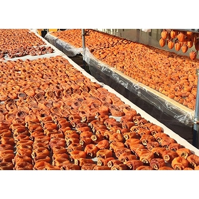 甲州名産「枯露柿」L～LLサイズ9～12個入り　1kg前後