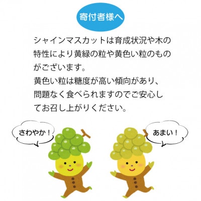 【2026年発送 先行受付】生産者直送『万力』極上シャインマスカット2房　計1kg～1.2kg程度【配送不可地域：離島】