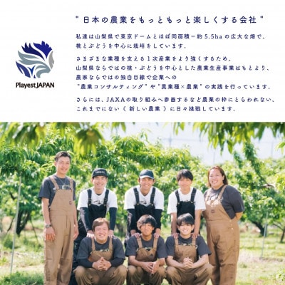 2026年先行受付　山梨県産 桃 白鳳系 1kg以上(3～5玉) フルーツ王国・山梨から産地直送【配送不可地域：離島・沖縄県】