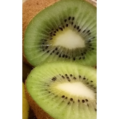 キウイフルーツ(ヘイワード)約2kg