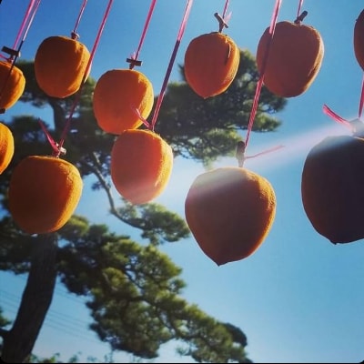 【甲州銘菓数量限定】手作り甲州百目枯露柿12～20個1号化粧箱入り【配送不可地域：離島】