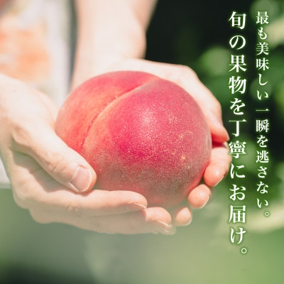 2026年度先行予約 約2kg 完熟 桃 とろける甘み YAMANASHI PRIDE (5～8玉)【配送不可地域：離島・北海道・沖縄県・中国・四国・九州】