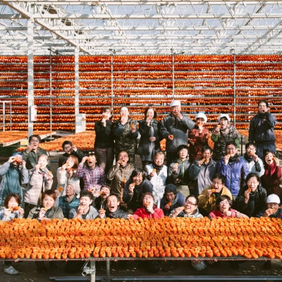 こだわりの製法で作りあげた 甲州名産『あんぽ柿』　約700g