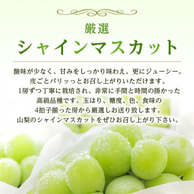 2026年発送 山梨県産 シャインマスカット 約1kg(2～3房) 山梨が誇る人気果物 熟練農家厳選【配送不可地域：離島・沖縄県】