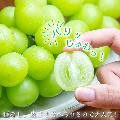 2026年発送 山梨県産 シャインマスカット 約2.5kg(4～6房) 山梨が誇る 人気果物【配送不可地域：離島・沖縄県】