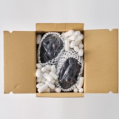 【2026年先行受付】厳選　池田青果の巨峰　2房 　1キロ　ふるさと納税【配送不可地域：離島・沖縄県】