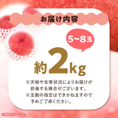 【2026年 先行受付】 桃 約2kg (5玉~8玉) 厳選 ! 池田青果の もも【配送不可地域：離島・沖縄県】