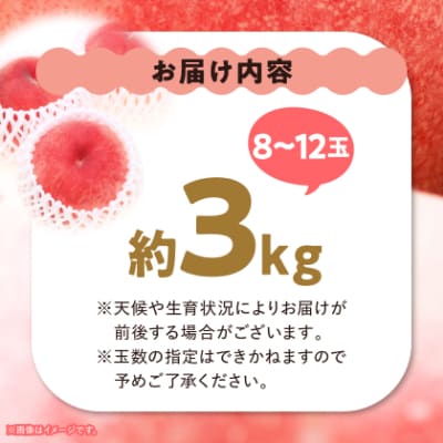 【2026年 先行受付】 桃 約3kg (8玉～12玉) 厳選 ! 池田青果の もも【配送不可地域：離島・沖縄県】