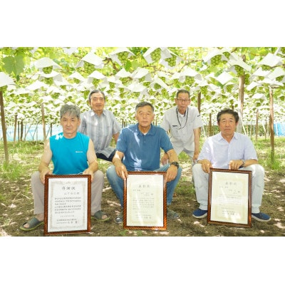 【2026年先行予約】ハウス栽培7月出荷シャインマスカット(2房約800g)世界農業遺産認定地特産【配送不可地域：離島】