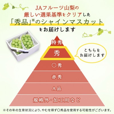 シャインマスカット(2房)【配送不可地域：離島】
