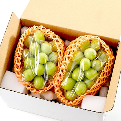 【2026年先行受付】山梨市産シャインマスカット(匠)1Kg以上　2～3房【配送不可地域：離島・沖縄県】