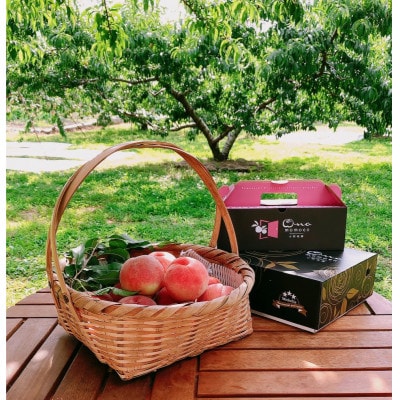 【一流レストラン御用達】リピーターNo.1樹上完熟桃ギリギリ限界まで完熟2026年6月下旬より発送【配送不可地域：離島・北海道・沖縄県・中国・四国・九州】