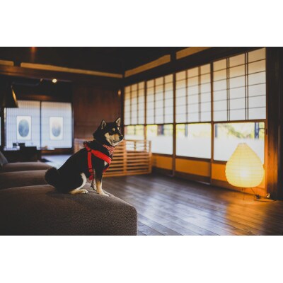 古民家宿るうふ　ご宿泊ギフト券(5万円分)