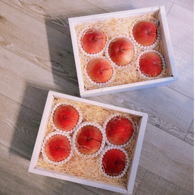 【桃通が愛してやまない樹上完熟桃】リピーターNo.1ギリギリ限界まで完熟2026年7月上旬より発送【配送不可地域：離島・北海道・沖縄県・中国・四国・九州】