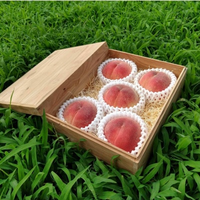 【1泊100万円高級宿御用達】1000個中1個の希少性『幻のシャトーブリアン桃』2026年6月下旬【配送不可地域：離島・北海道・沖縄県・中国・四国・九州】