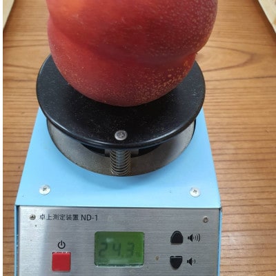 【高糖度ばくだんネクタリン黎明】桃グランプリ日本一受賞＆5年連続TV出演で話題2026年7月中旬発送【配送不可地域：離島・北海道・沖縄県・中国・四国・九州】