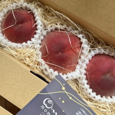 【まず出逢えない気品高い山加白桃】人気品種指定ギフト5年連続TV出演話題ブランド2026年7月下旬～【配送不可地域：離島・北海道・沖縄県・中国・四国・九州】