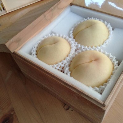 【激レア縁起深い白い桃の甘々燦々】人気品種指定ギフト5年連続TV出演話題ブランド2026年8月下旬～【配送不可地域：離島・北海道・沖縄県・中国・四国・九州】