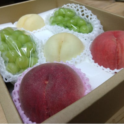 《激レア縁起深い白い桃の甘々燦々》人気品種指定ギフト5年連続TV出演話題ブランド2026年8月下旬～【配送不可地域：離島・北海道・沖縄県・中国・四国・九州】