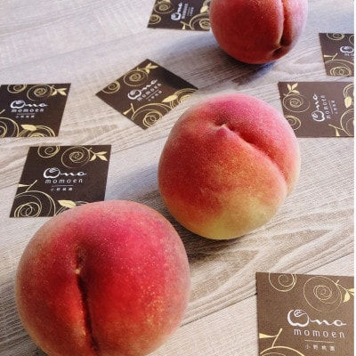 《瑞々しく滴る次世代を担う夢桃香》人気品種指定ギフト5年連続TV出演話題ブランド2026年7月上旬～【配送不可地域：離島・北海道・沖縄県・中国・四国・九州】